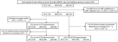 Association Between Iron-Related Protein Lipocalin 2 and Cognitive Impairment in Cerebrospinal Fluid and Serum